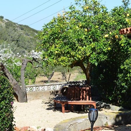 Casa Jiby Apartment Llosa de Camacho Екстериор снимка
