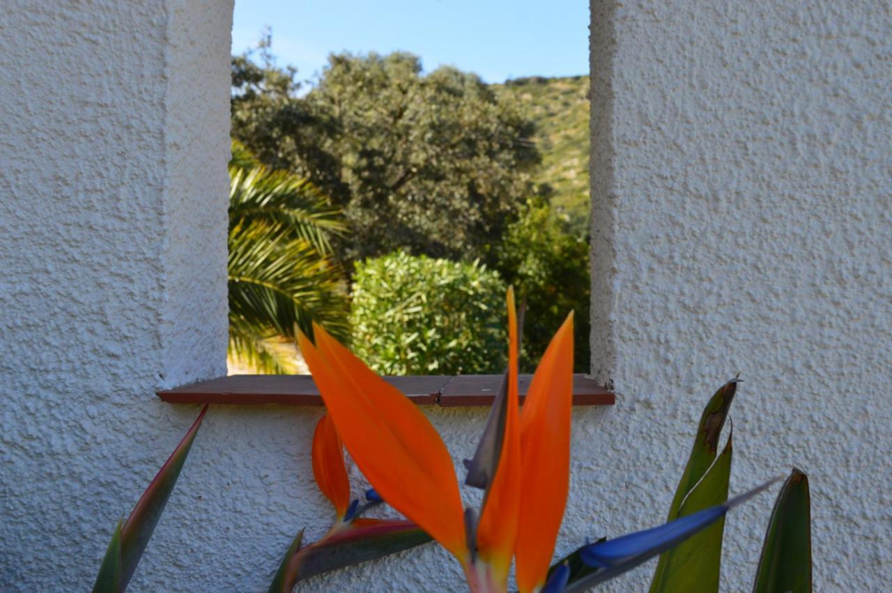 Casa Jiby Apartment Llosa de Camacho Екстериор снимка