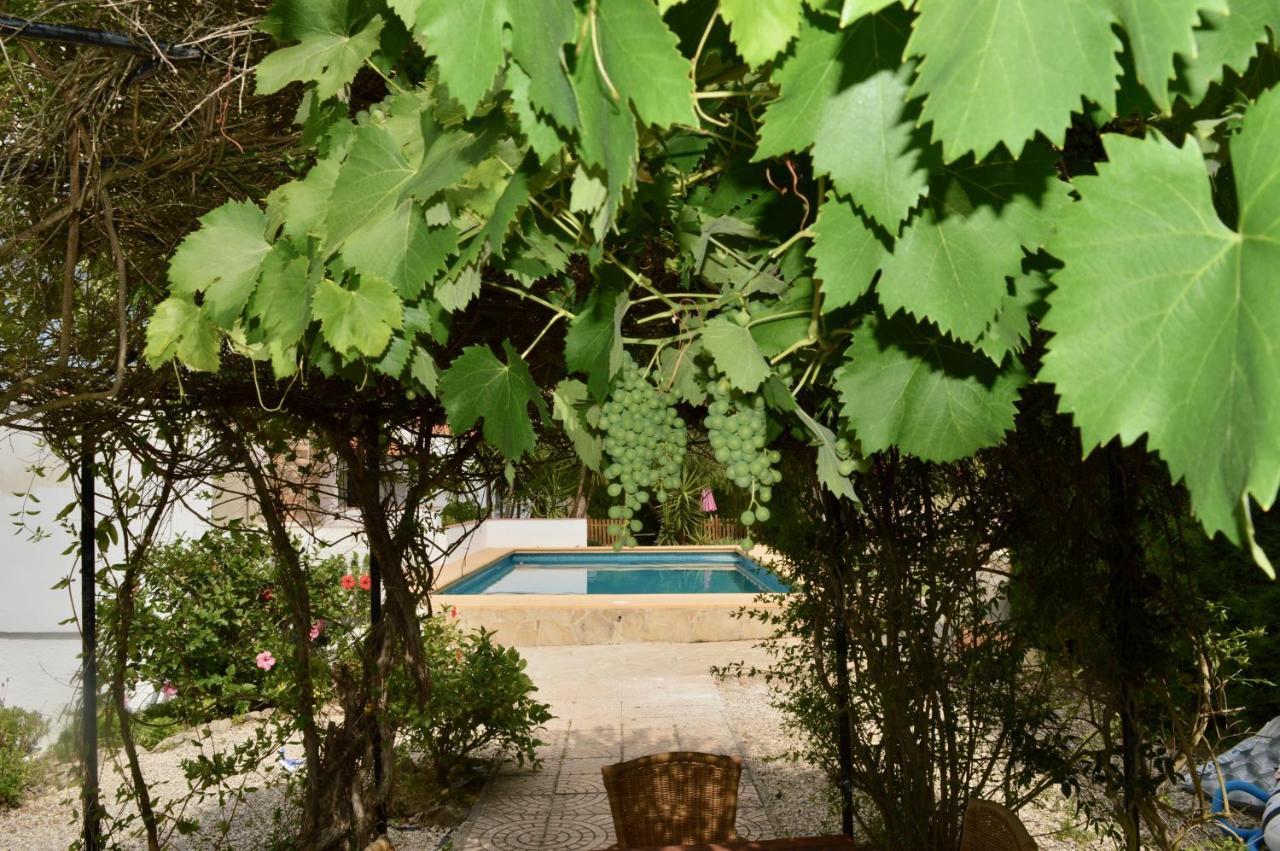 Casa Jiby Apartment Llosa de Camacho Екстериор снимка